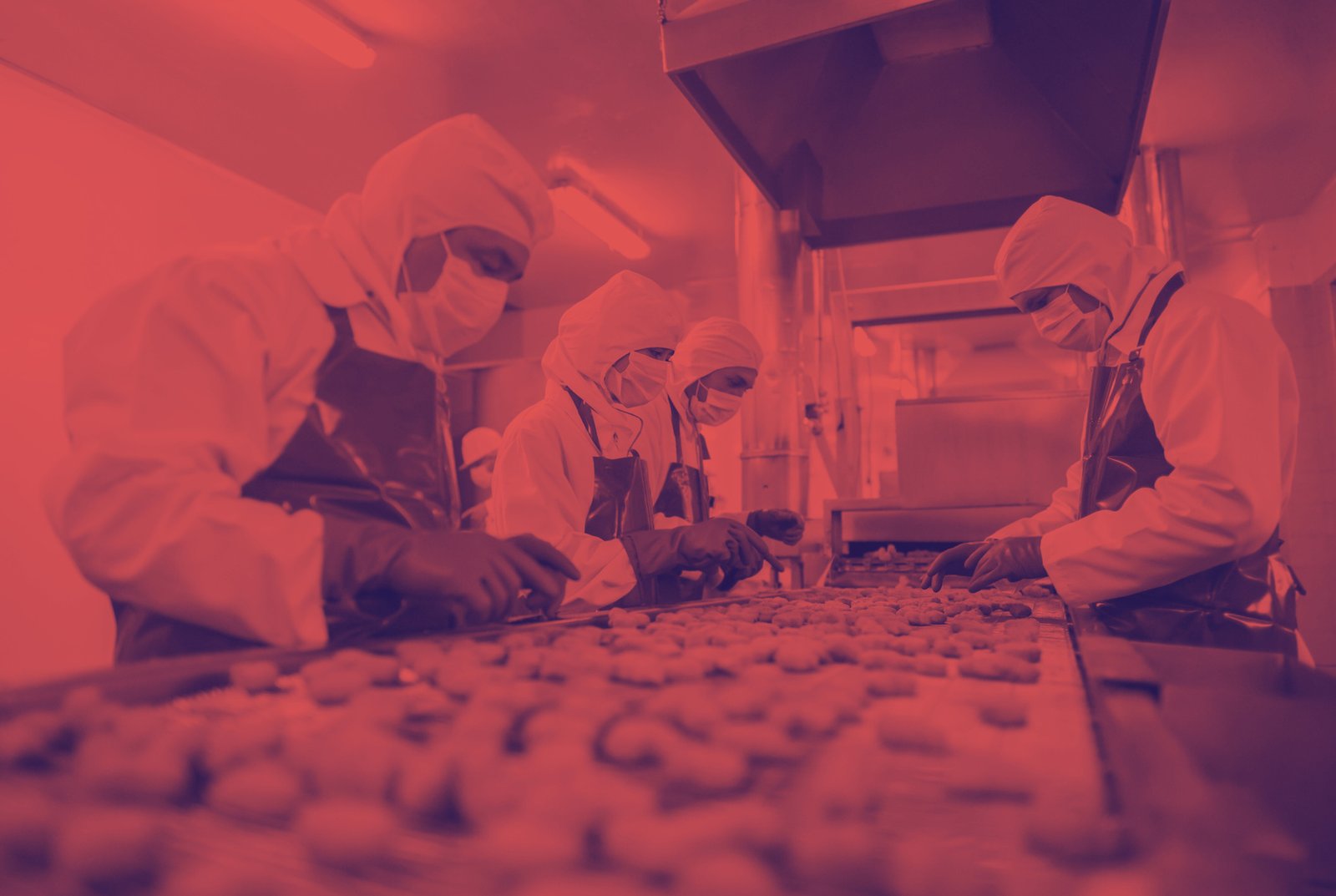 Segurança de alimentos na cadeia produtiva